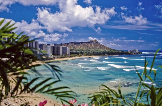 Hawaiian Monarch 916 Condo by RedAwning
