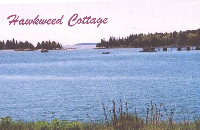 Cottage Épervière sur l'eau - Sel air et le soleil!