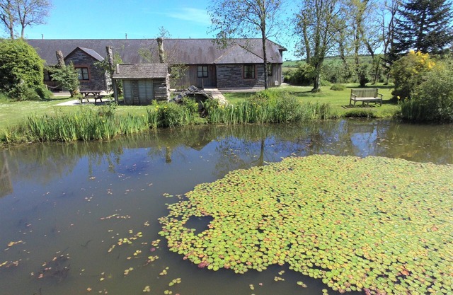 Aubépine-chalet de luxe 4 chambres - superbes vues, bain à remous piscine intérieure, salle de gym, pêche.