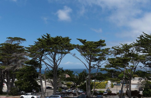 Hawthorne 901A - Condo Monterey - Promenade à la plage et à l'aquarium