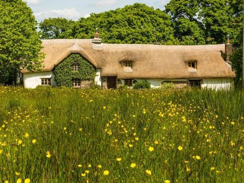 Hay Meadow Farm, Cosy Thatched Holiday Cottage