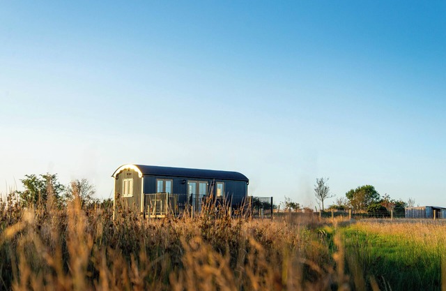 Head For The Hills Glamping Shepherd’s Hut. Pet friendly, mountain views