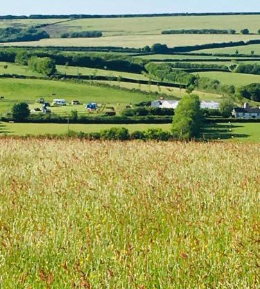 Headgate Farm Camp Site - Pitches Only