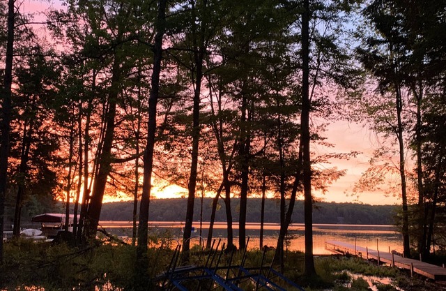 Heavenly Hemlocks Quaint Cabin sur le lac des Quatre-Cantons