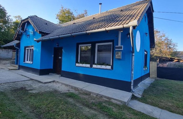 Het Blauwe Salamander Huis