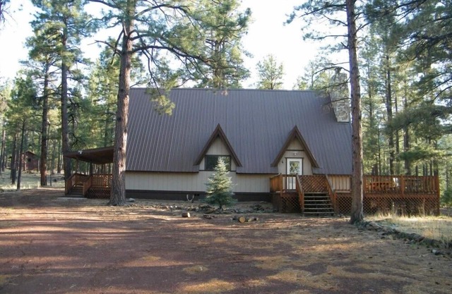 Hibernation Hideaway Cabane Rustique Dans La Forêt