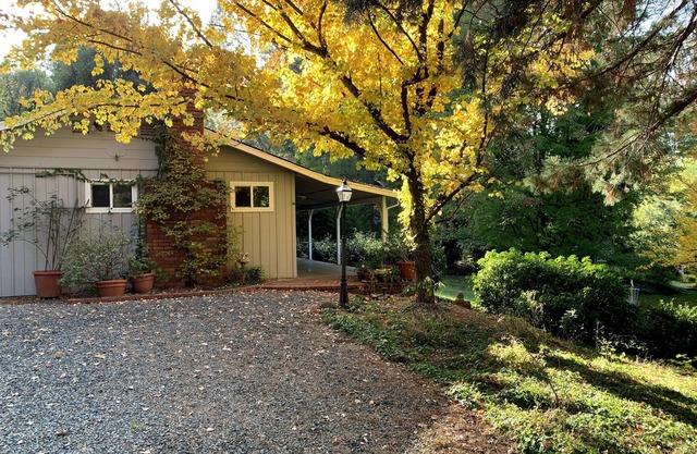 Hidden Country Gem with Pond | Free Early In & Late Out | Pet Friendly!