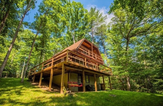 Joyau caché dans les bois