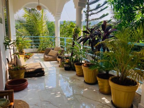 Hidden Haven, Eden in India ! Quietest stay in Goa