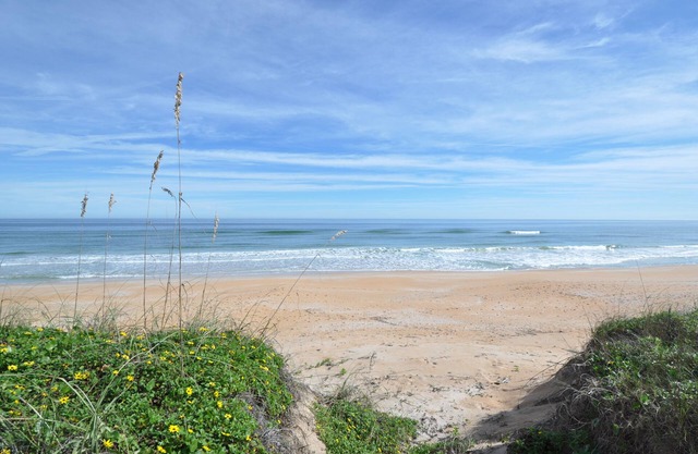 Oceanfront Paradise vient d'être retrouvé
