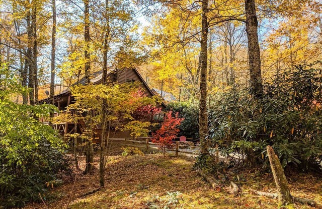 HIGH SPEED FIBER OPTIC WIFI; Tranquil Treehouse on 2.5 Acres; Affordable Luxury