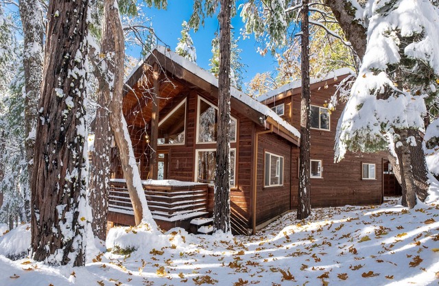 High Trees Haven~EV Charging Plug, Sauna, Heat & A/C!