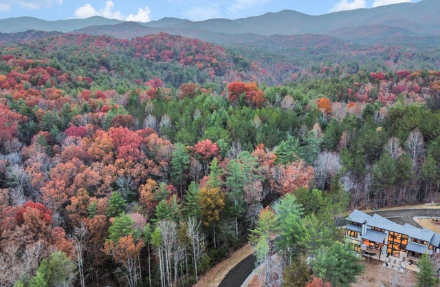 Higher Ground ~ Modern Cabin w/ Heated Indoor Pool ~ Hot Tub ~ Fire Pit