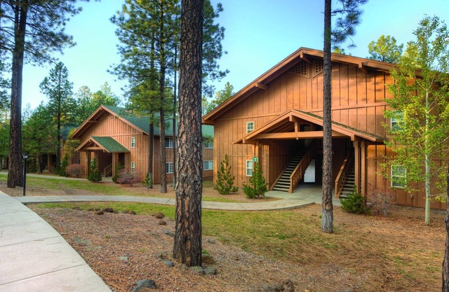 Randonnée, ski, cascades, Wyndham Pinetop
