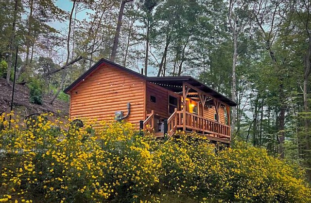 Hill Haven RRG / Small & Secluded Cabin / Hot Tub