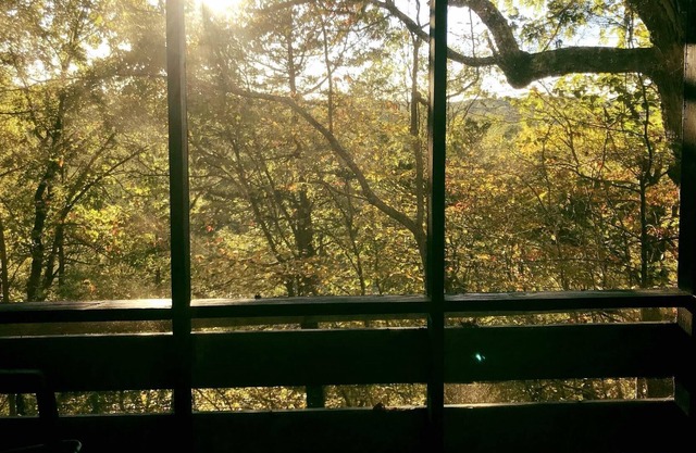 Chalet perché surplombant la rivière Meramec