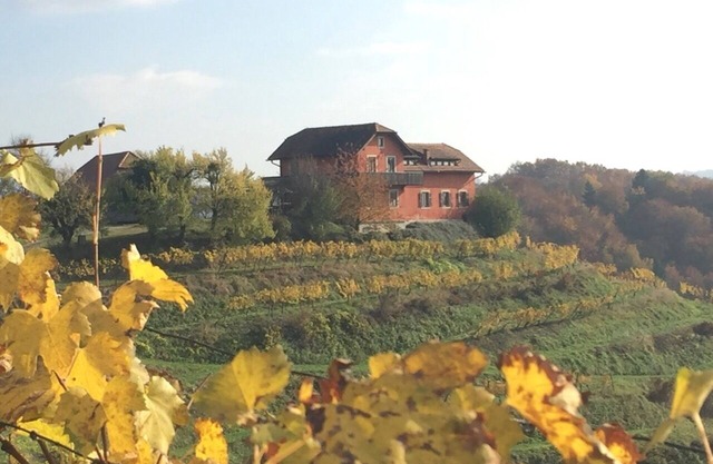 Hisa Vina - a wine estate on a tranquil vineyard hill sleeps 10+2