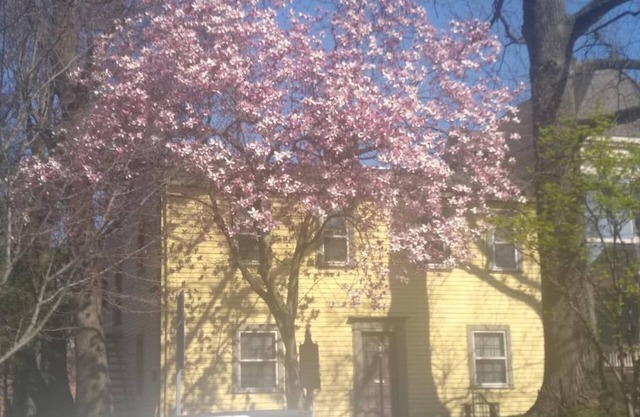 Historic Clayton-Bullock Schoolhouse Near Downtown Cincinnati!!