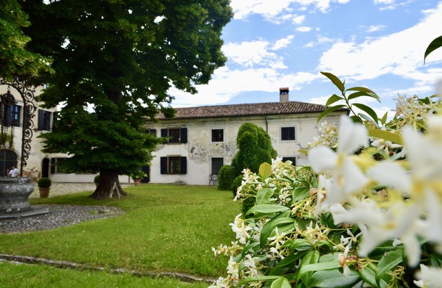 Historic villa surrounded by vineyards