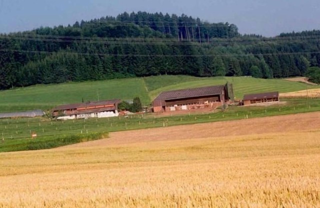 Appartement de vacances Aesch ZH pour 1 - 11 personnes avec 4 chambres à coucher - Appartement de va