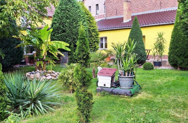 Appartement de vacances Herzberg pour 1 - 2 personnes avec 1 chambre à coucher - Appartement de vaca