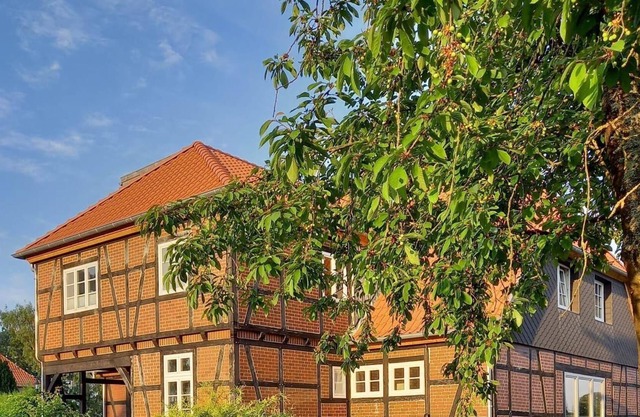 Appartement de vacances Bleckede pour 1 - 3 personnes avec 2 chambres à coucher - Appartement de vac