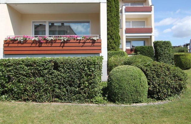 Holiday apartment Kuck Vogelreichsweg - Apartment, bathroom, toilet
