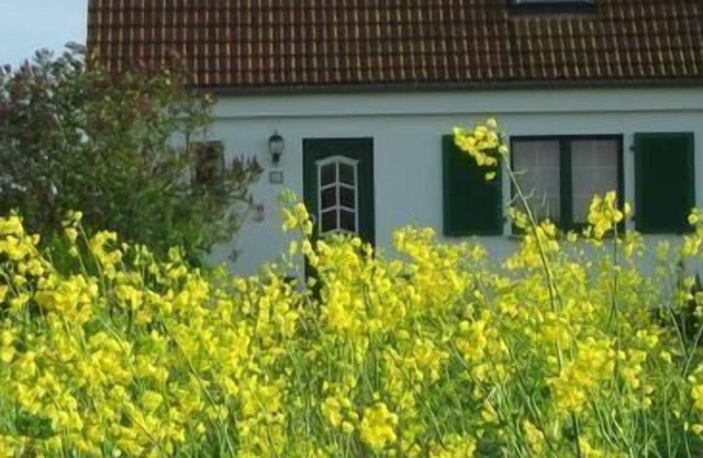 Appartement de vacances Lüdershagen pour 1 - 4 personnes avec 1 chambre à coucher - Appartement de v