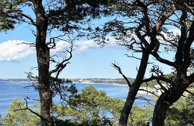 Holiday apartment on western Gotland | SE12021