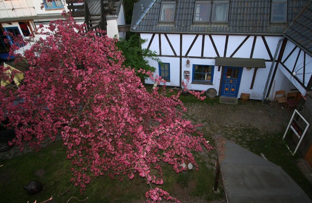 Appartement de vacances Retschow pour 1 - 2 personnes avec 1 chambre à coucher - Maison jumelée