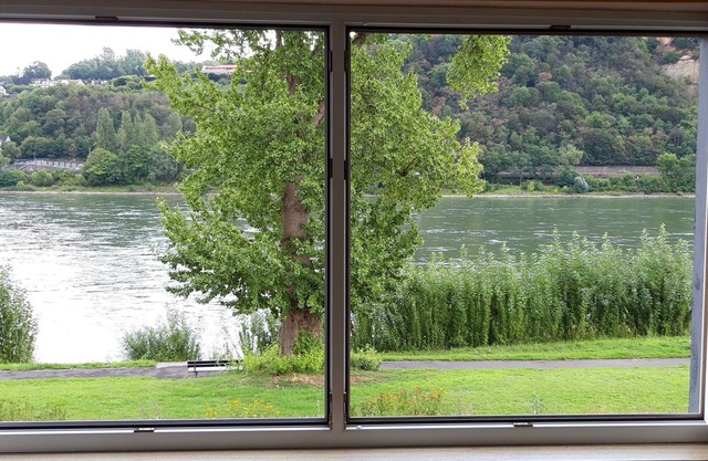 Appartement 'Rheinblick Wohnung 3' avec terrasse partagée et Wi-Fi