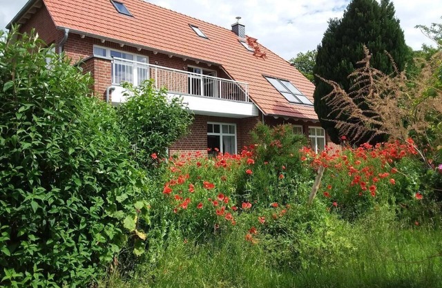 Appartement de vacances Sehlen pour 1 - 3 personnes avec 1 chambre à coucher - Appartement de vacanc