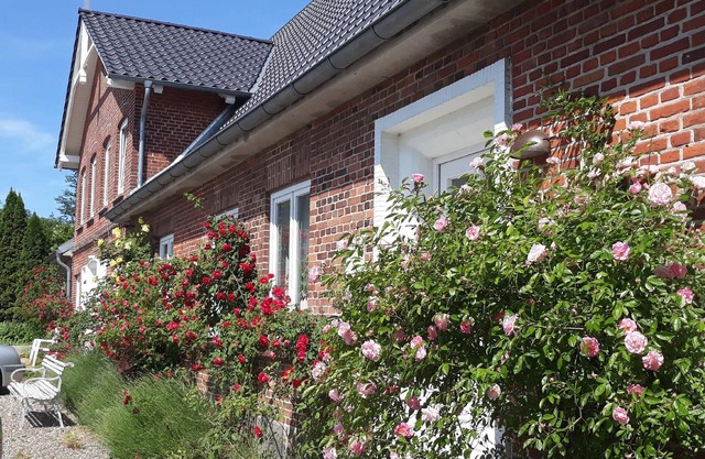Appartement de vacances Stoltebüll pour 1 - 2 personnes avec 1 chambre à coucher - Maison jumelée