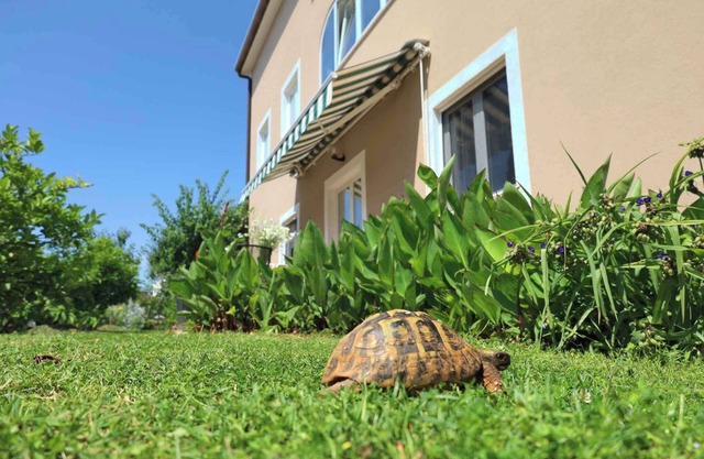 Appartement de vacances avec internet, climatisation, terrasse et jardin dans un endroit calme