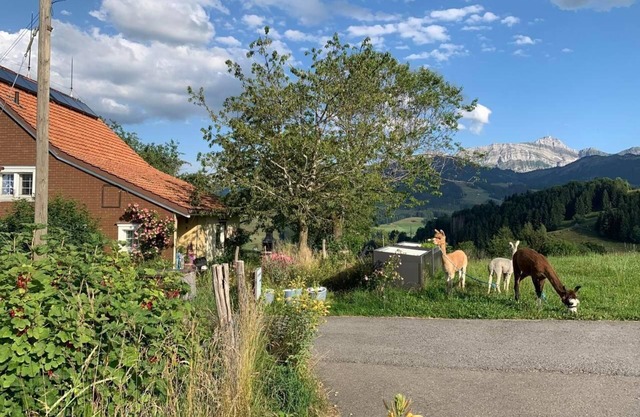 Appartement de vacances Urnäsch pour 1 - 6 personnes avec 2 chambres à coucher - Ferme