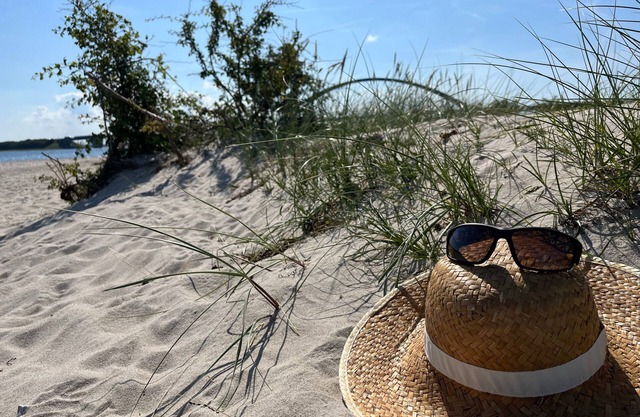 Maison de vacances pour 6 personnes avec 90 m² à Fehmarn OT Fehmarnsund (11086)