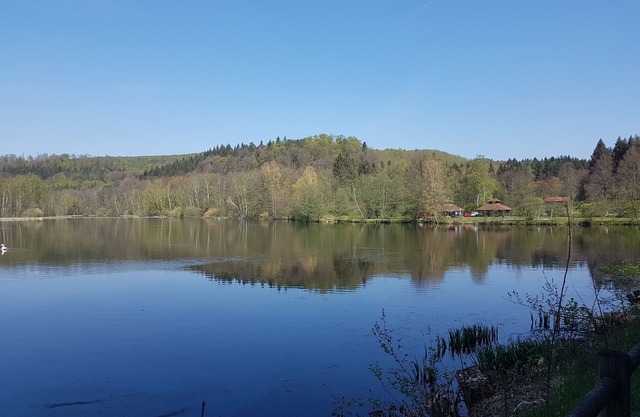 Appartement dans l'idylle de la forêt du Palatinat à Ludwigswinkel-Schoental