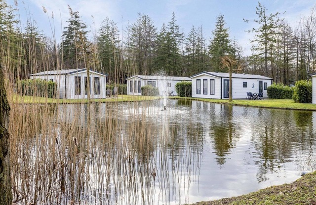 ✓ Holiday home at Bospark Ede ✓ Holiday home for 4 persons ✓ Located in Ede (Gelderland) ✓ Holiday park on the Veluwe ✓ Book directly through the park