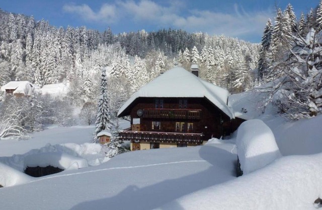 Ferienhaus Biehler - grand appartement avec 3 chambres
