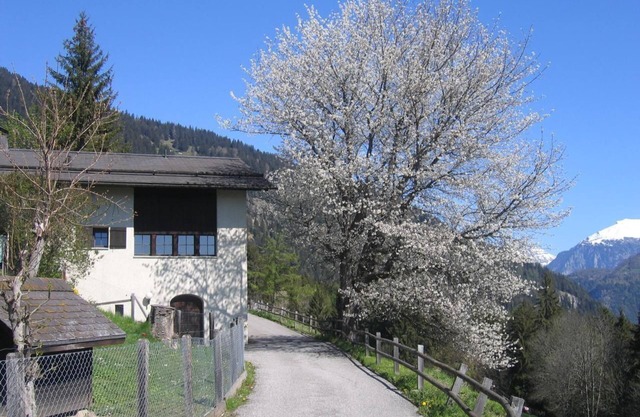 Maison de vacances Präz pour 1 - 8 personnes avec 4 chambres à coucher - Maison de vacances indépend