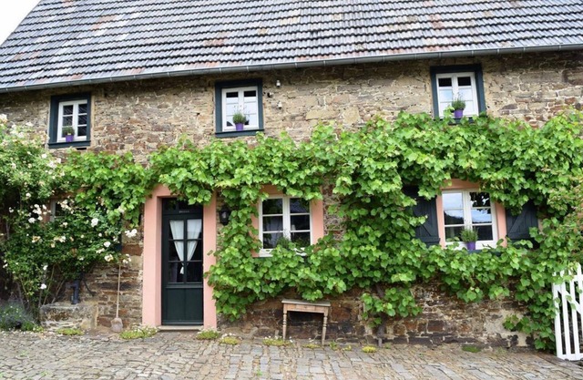 Maison de vacances "Altes Steinhaus" (max 9 personnes) - Landhaus am Aremberg