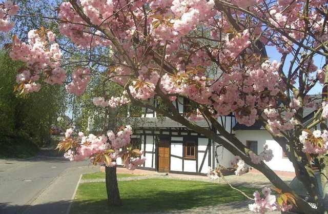 Maison de vacances Beltheim pour 1 - 8 personnes avec 4 chambres à coucher - Maison de vacances
