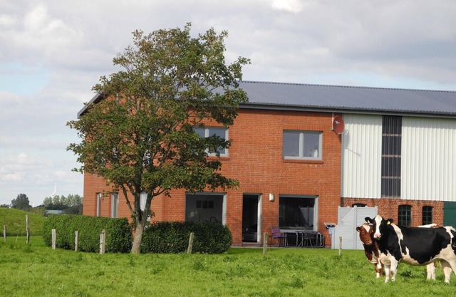 Maison de vacances Oesterdeichstrich pour 1 - 9 personnes avec 3 chambres à coucher - Logement de va