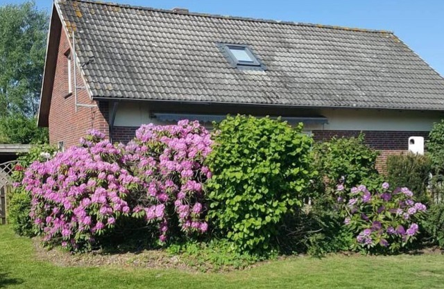 Maison de vacances Jade pour 1 - 6 personnes avec 3 chambres à coucher - Maison de vacances