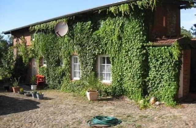 Maison de vacances Lindow pour 1 - 2 personnes avec 1 chambre à coucher - Maison de vacances