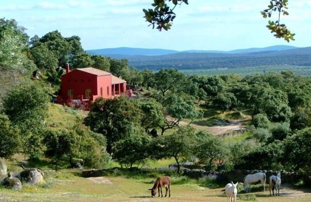 Maison de vacances Montanchez pour 1 - 6 personnes avec 3 chambres à coucher - Ferme