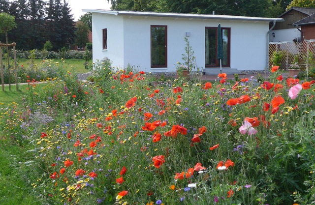 Maison de vacances avec jardin près de la mer Baltique