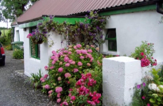 Holiday in the centre of Ireland
