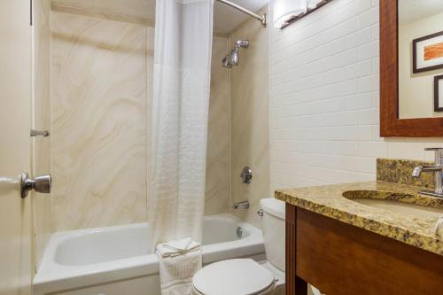 Holiday Inn Express Denver Central - North