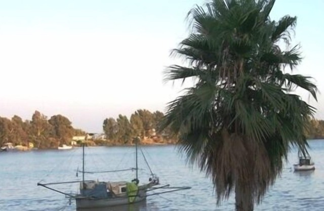Vacances à Séville (Andalousie)